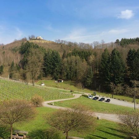 Wein Lodge Durbach - Schlossblick Eksteriør billede