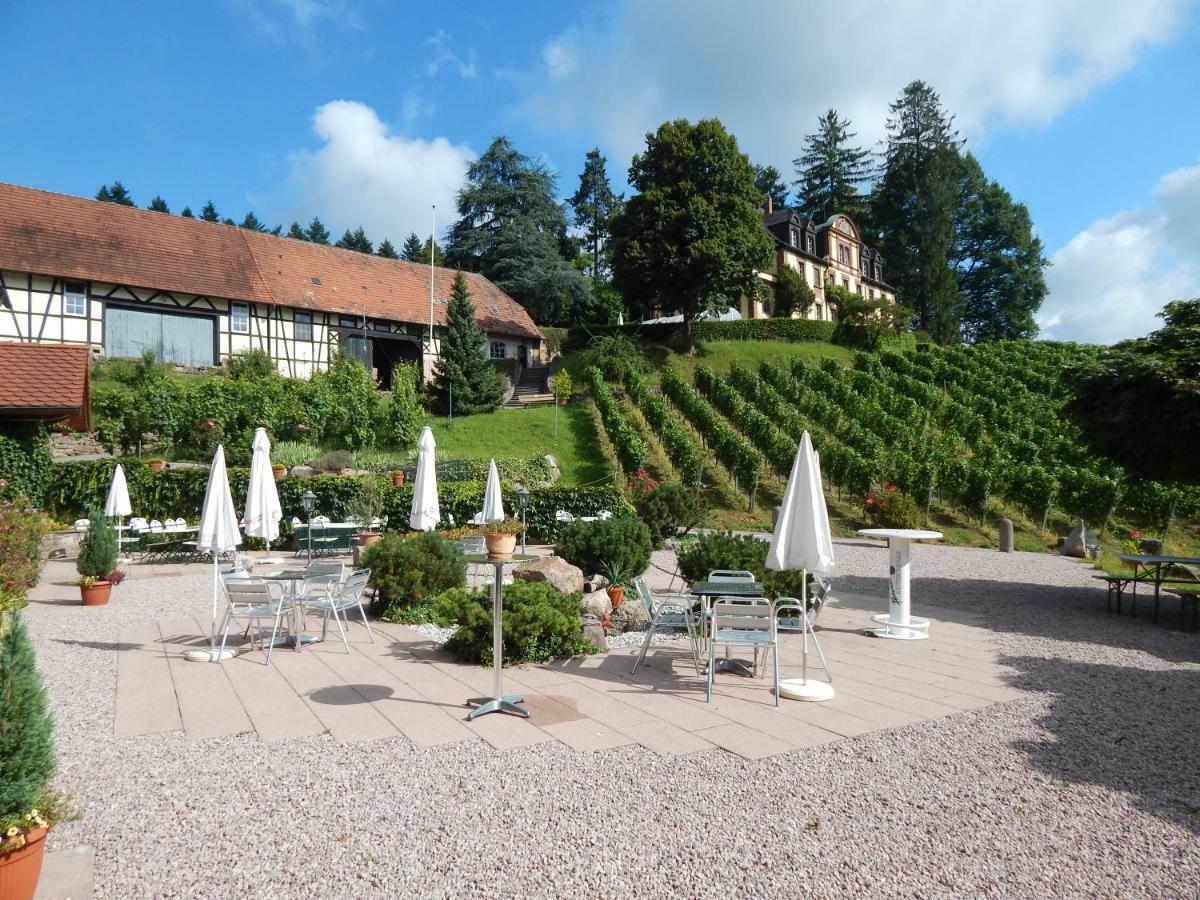 Wein Lodge Durbach - Schlossblick Eksteriør billede