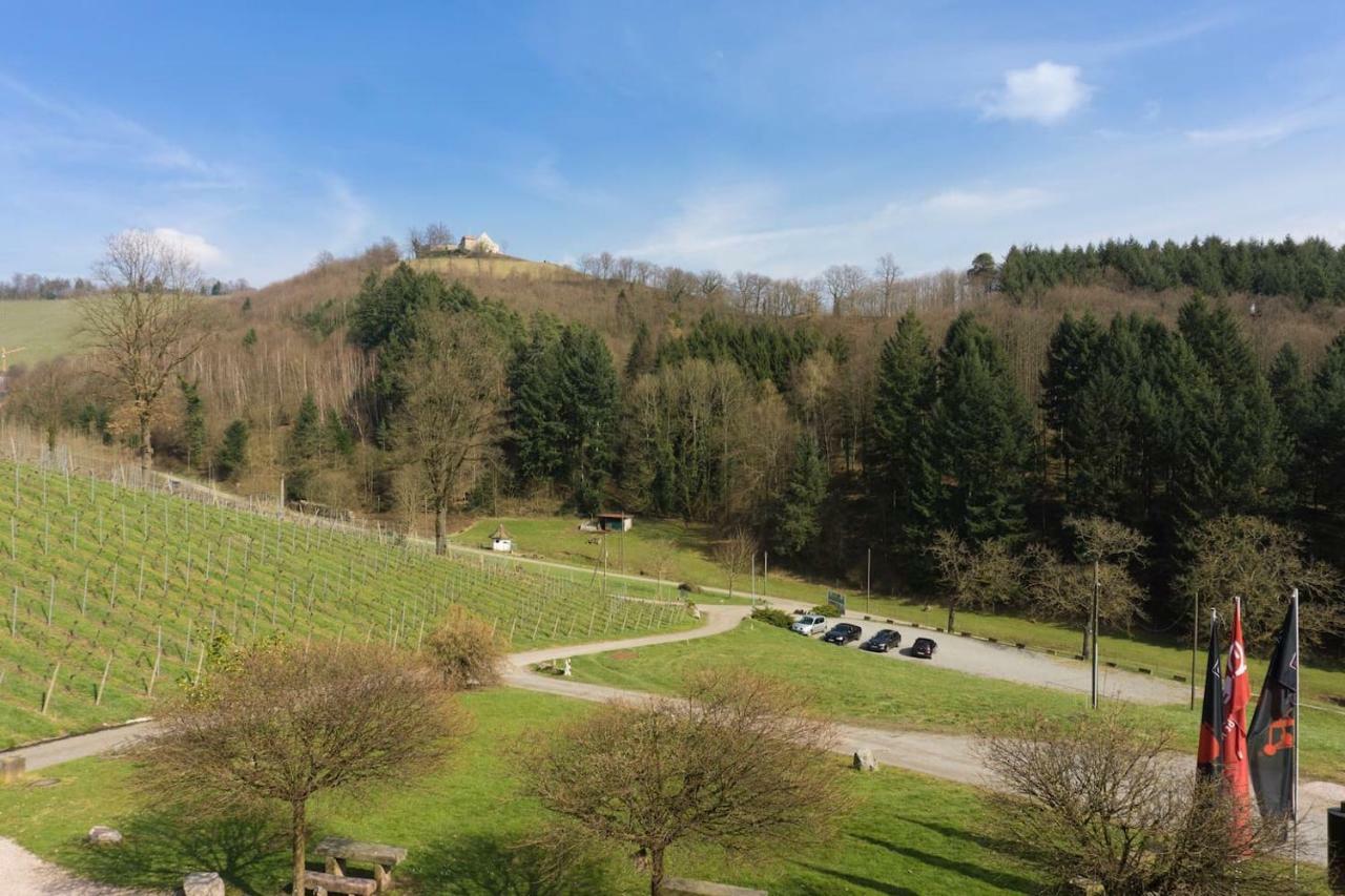 Wein Lodge Durbach - Schlossblick Eksteriør billede