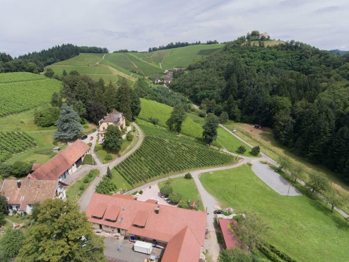 Wein Lodge Durbach - Schlossblick Eksteriør billede